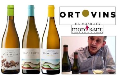 ad144eb0ff83fcb0f7504b11c77d8e70